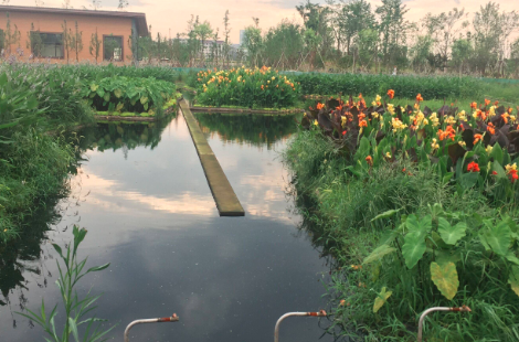 自調(diào)節(jié)循環(huán)凈化平臺(tái)